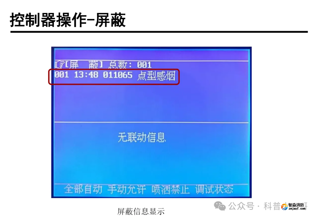 1770712738779142.png